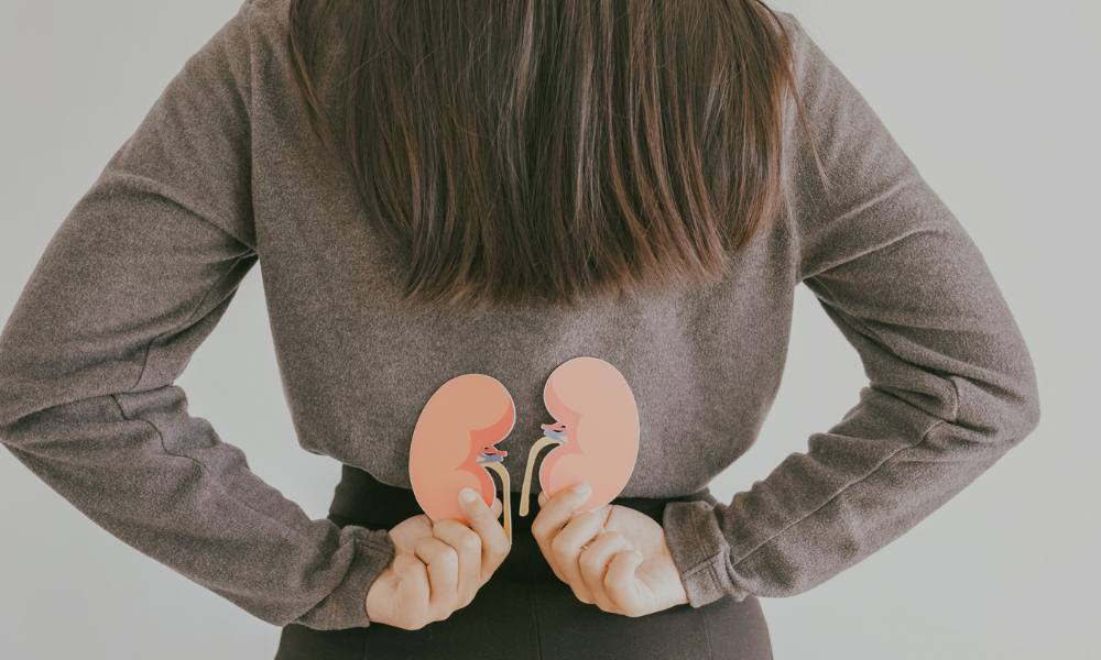 hands hold mock kidneys behind her back where they are positioned in the body