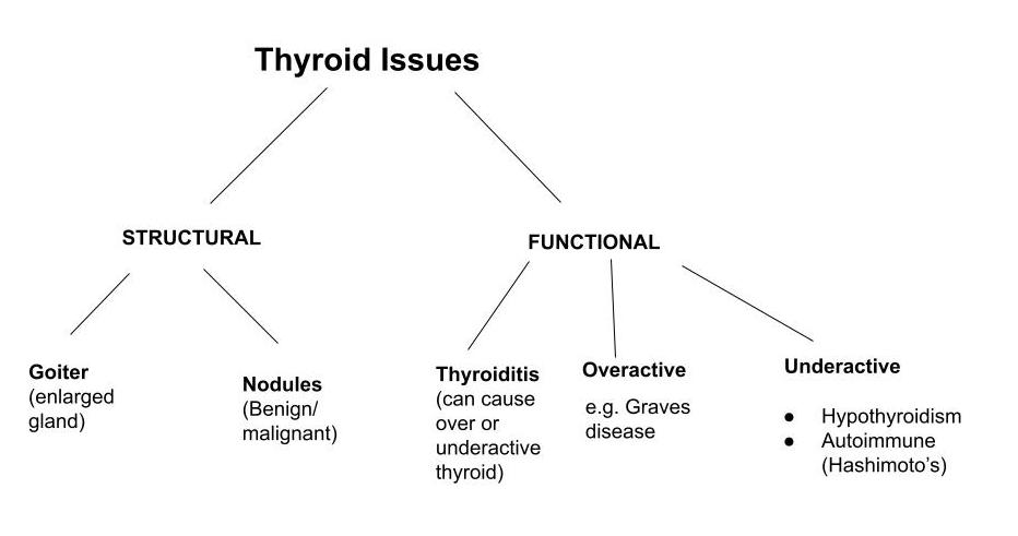 flowchart showing common thyroid issues including structural, goitre, nodules, thyroiditis, overactive and underactive thyroid glands.